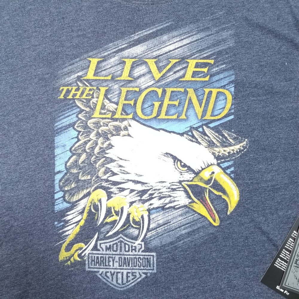 HARLEY-DAVIDSON Screaming Eagle L/S Shirt